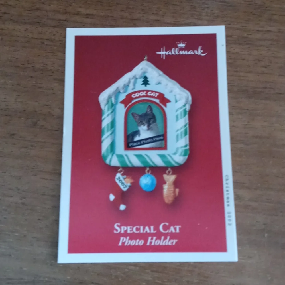 Hallmark Special Cat Photo Ornament